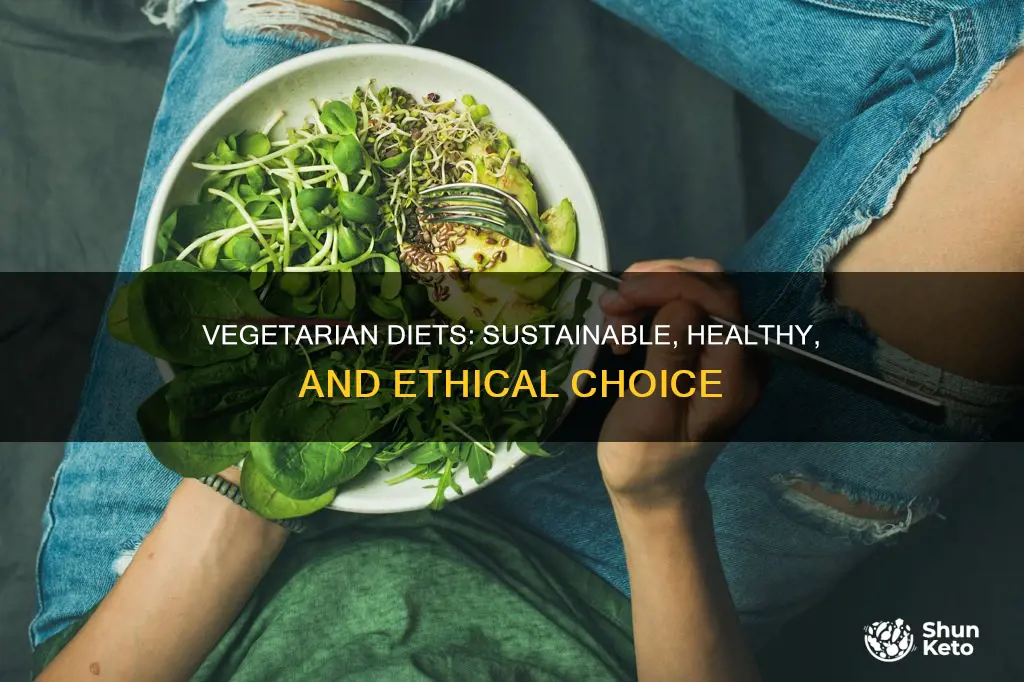 how is a vegetarian diet more sustainable