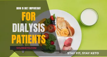 Dialysis Patients: Diet for Health and Wellness