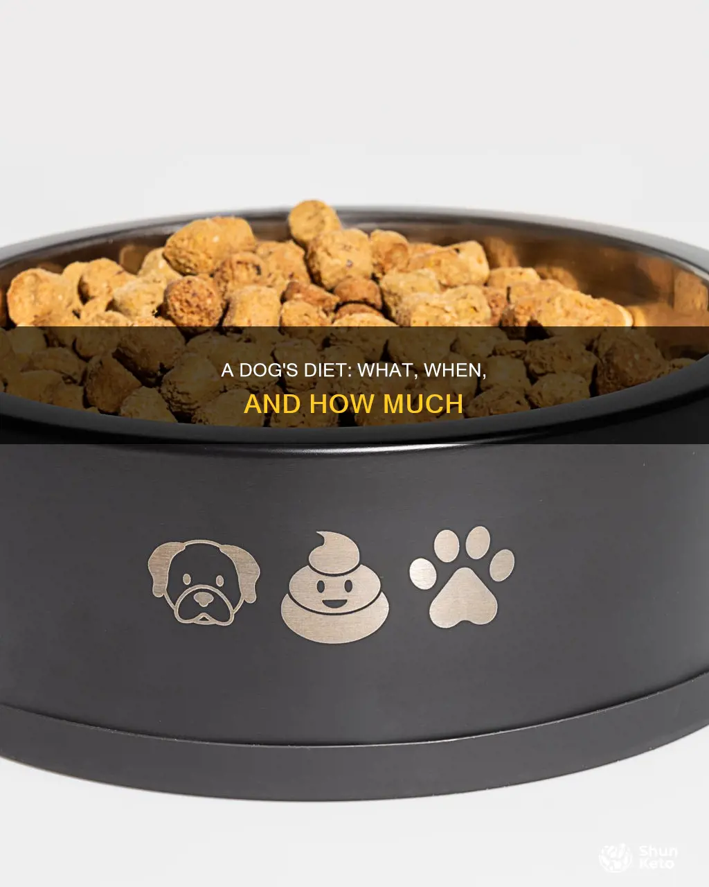 how is dogs diet