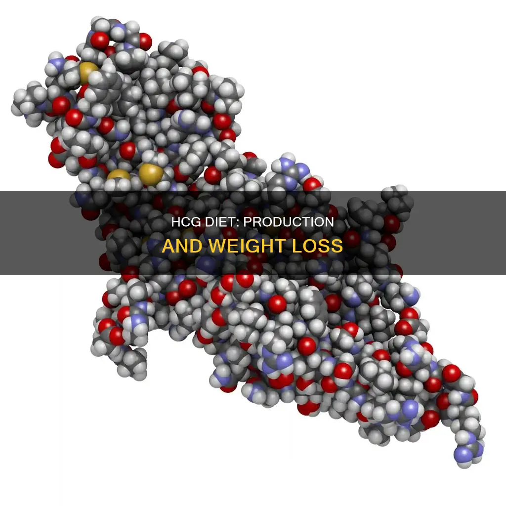 how is hcg produced for diet