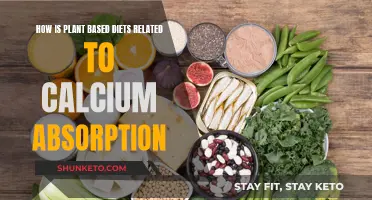 Plant-Based Diets: Calcium Absorption Explained