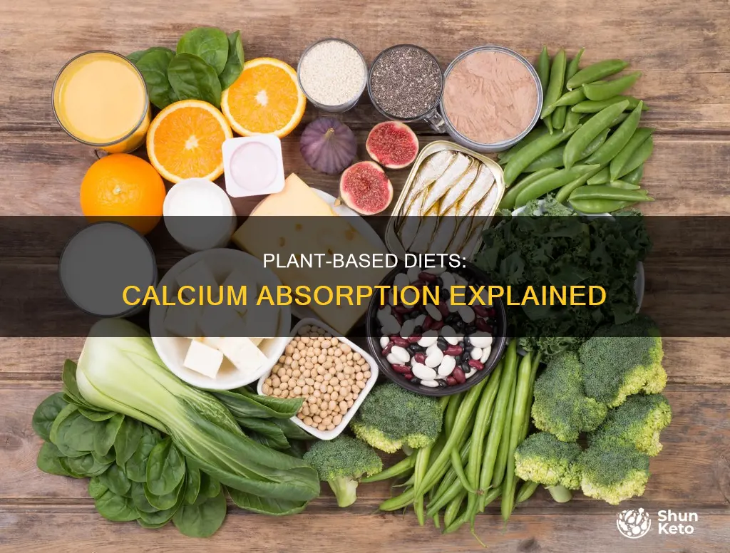 how is plant based diets related to calcium absorption