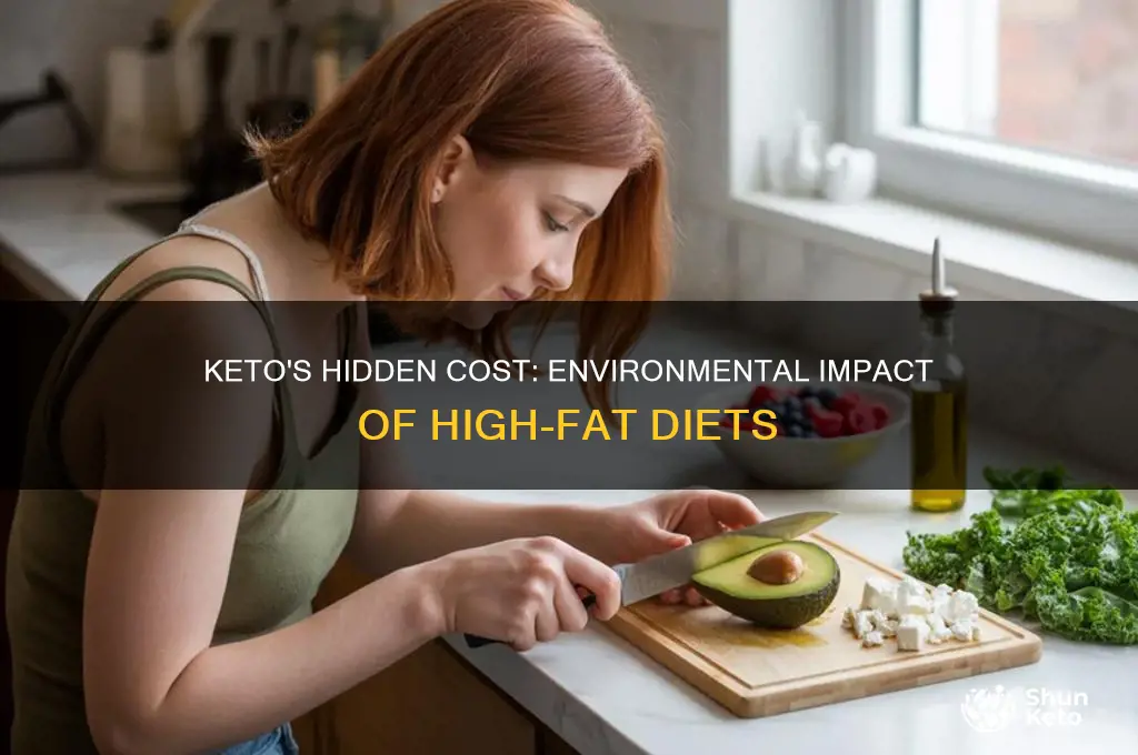 how is the keto diet hurting the environment