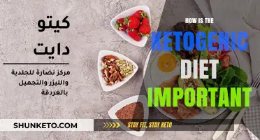 Ketogenic Diet: Transforming Your Health