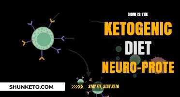 Ketogenic Diet: Brain Benefits and Neuroprotection