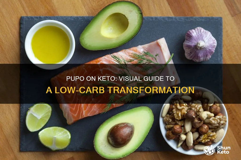 how is the pupo on keto diet look like
