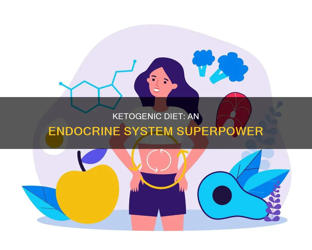 how is theketogenic diet is an endocrine-based diet