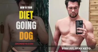 Dog Diet: Healthy Eating, Happy Pup