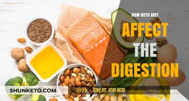 Keto Diet's Impact on Digestion: Benefits, Challenges, and Tips