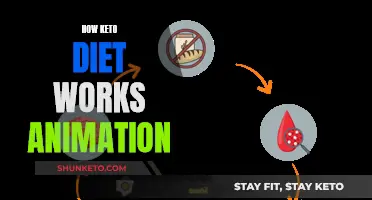 Keto Diet Explained: Animation Unveils Weight Loss Mechanism