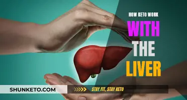 Keto and Liver Function: A Healthy Relationship