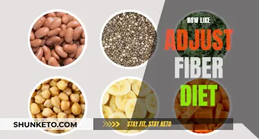 Mastering Fiber: Tips for a Smooth Transition to a High-Fiber Diet