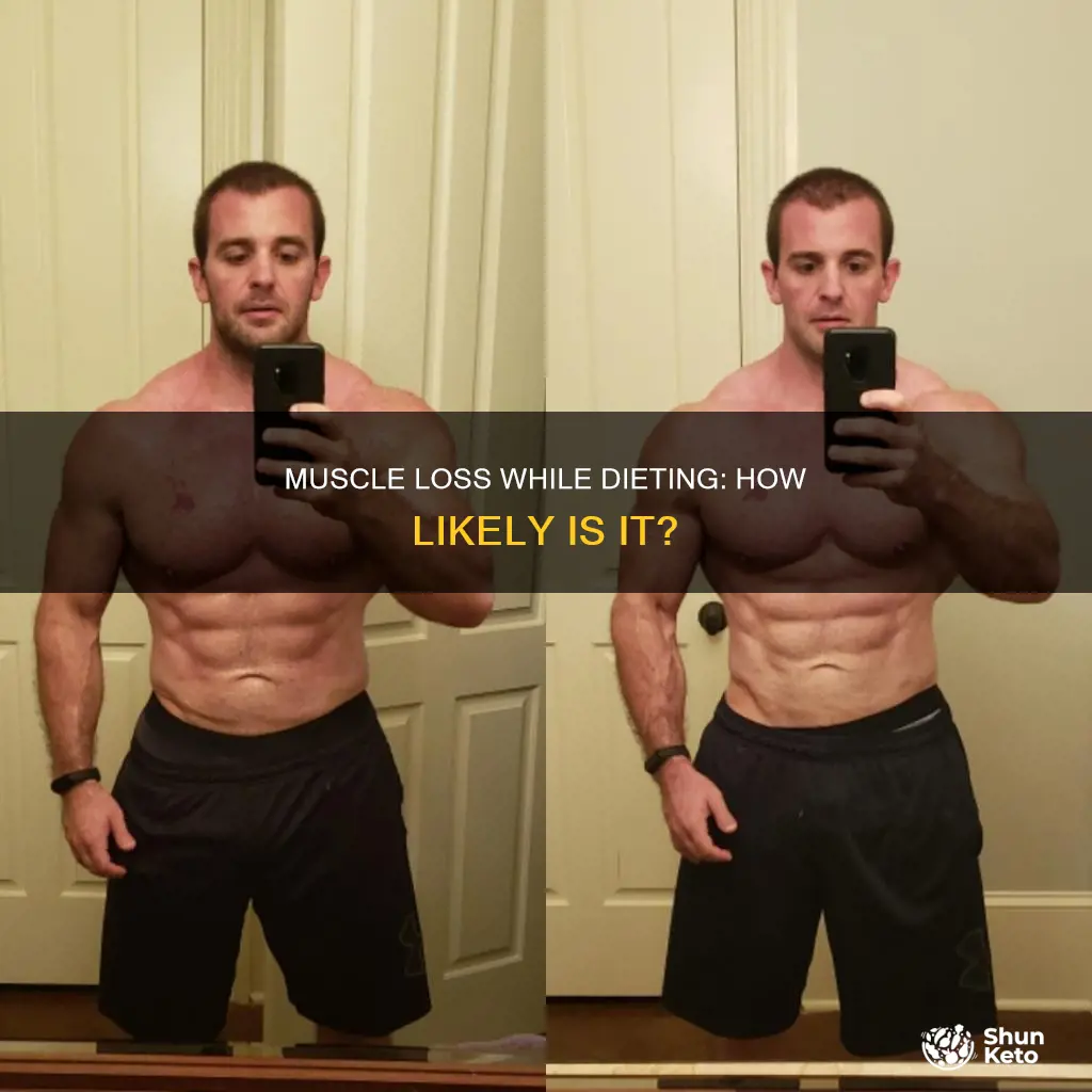 how likely it is i will lose muscle when dieting