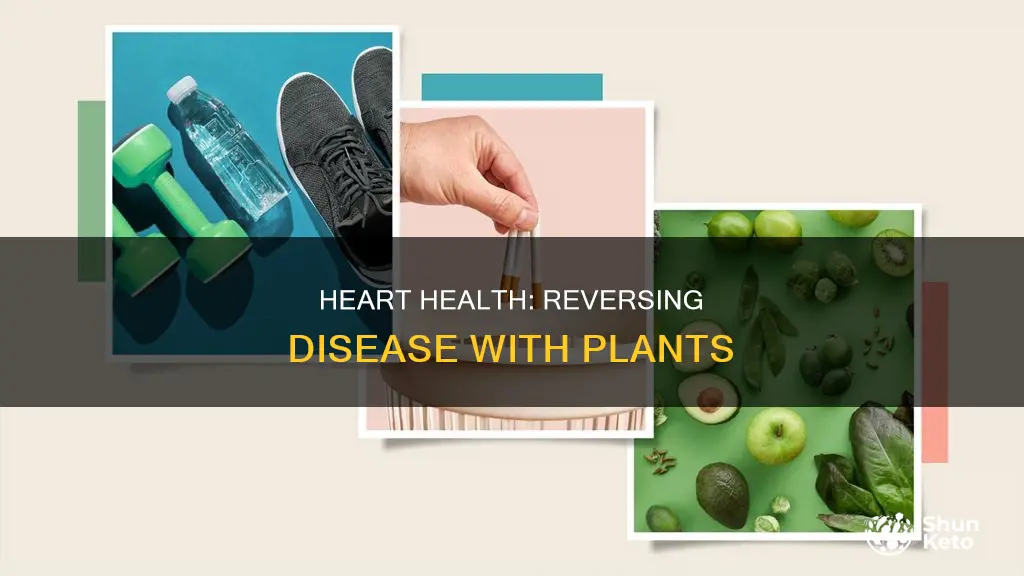 how ling to reverse heart disease on plant based diet