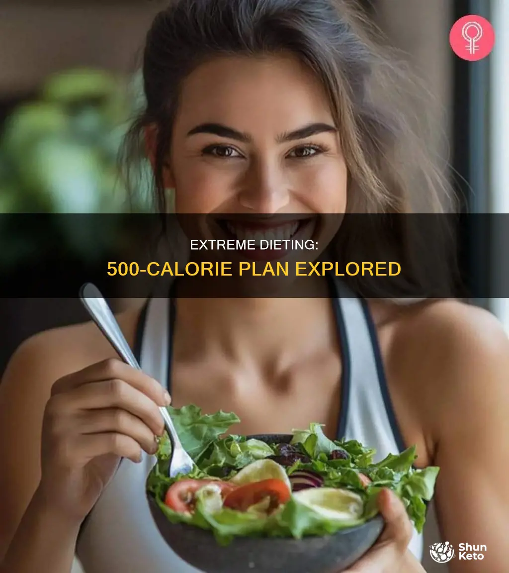 how long 500 calorie diet