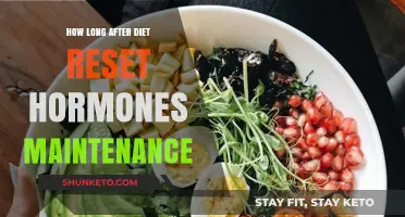 Dieting and Hormones: Reset and Maintenance Timeline