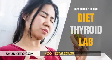 Thyroid Lab Results: Post-HCG Diet Expectations