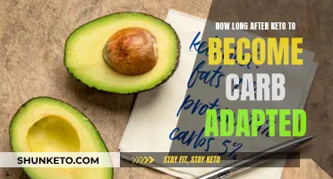 Becoming Carb Adapted: Post-Keto Transition Explained