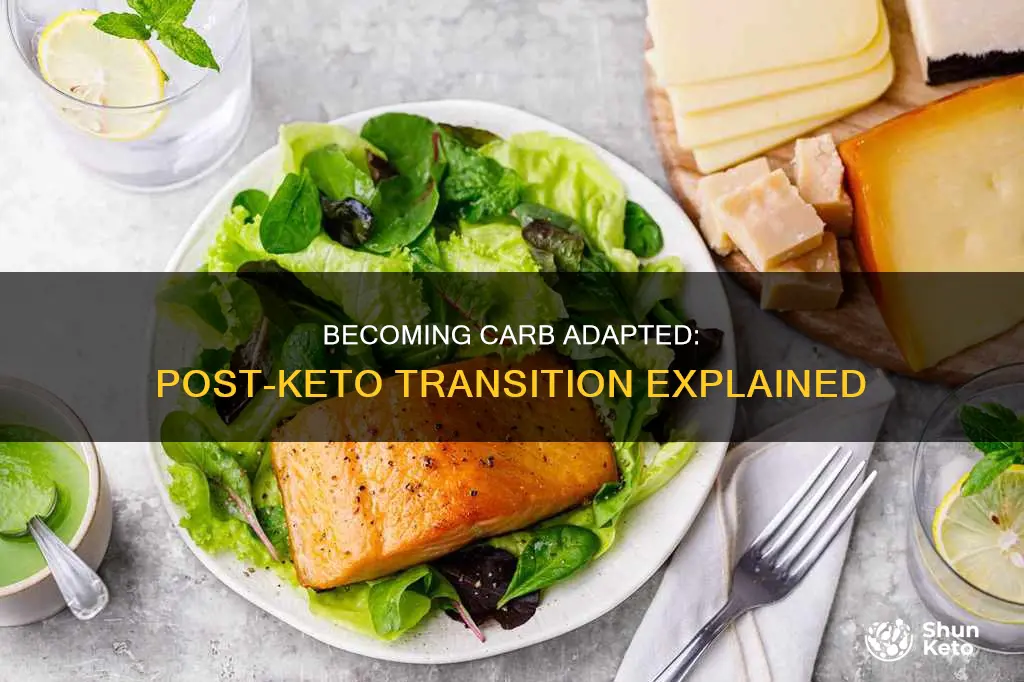 how long after keto to become carb adapted