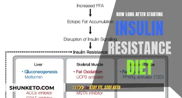 Insulin Resistance Diet: How Long Before Results Show?