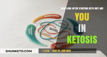 Keto Ketosis Timeline: When Does Your Body Enter Fat-Burning Mode?