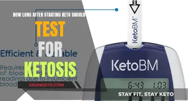 Keto Diet: When to Test for Ketosis?