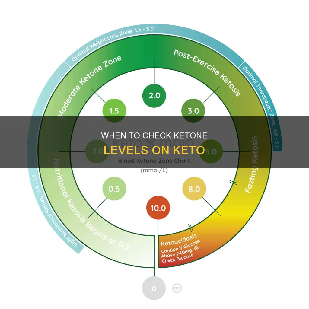 how long after starting keto to check ketone levels