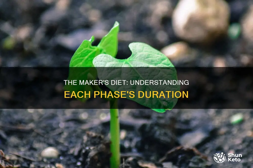 how long are eacg phase in the maker