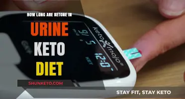 How Long Do Ketones Stay in Urine on a Keto Diet?