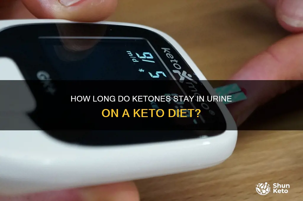how long are ketone in urine keto diet