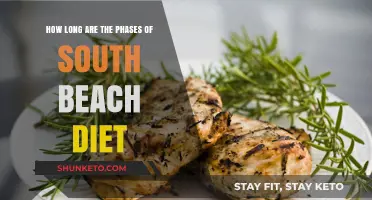 South Beach Diet: Phases and Their Durations