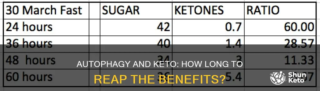 how long autophagy keto