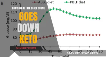 Blood Sugar Control: Keto's Impact and Timings Explored