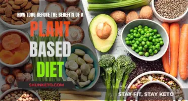 A Plant-Based Diet: When Do the Benefits Begin?