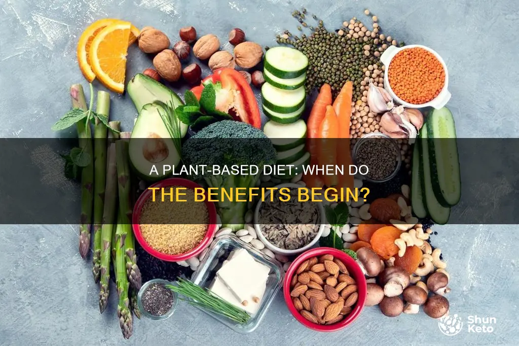 how long before the benefits of a plant based diet