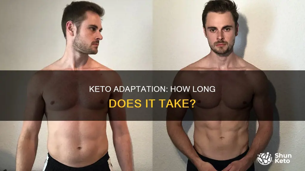 how long before your body goes into keto