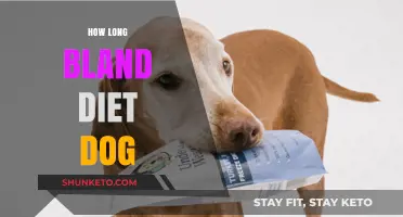 Bland Diet for Dogs: How Long is Too Long?