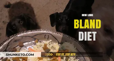 Bland Diet: How Long Should You Stick to It?