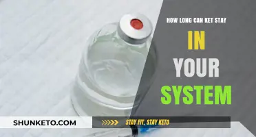 Ketamine Detection Timeline: How Long Does Ket Stay in Your System?