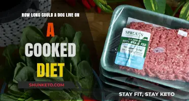 Cooked Diet: Can It Extend Your Dog's Lifespan?