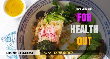 Healthy Gut Diet: How Long Should You Stick With It?