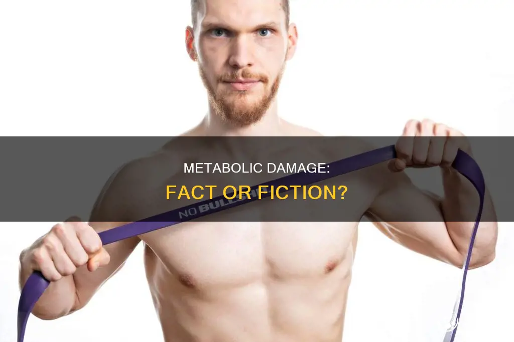 how long dieting metabolic slow lyle mcdonald