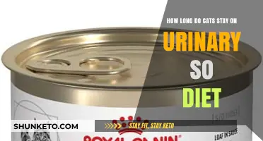 Urinary Tract Diet for Cats: How Long is Necessary?