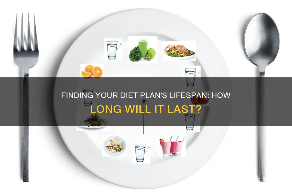 how long do diet plans last