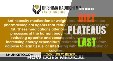 Breaking Diet Plateaus: How Long Do They Last?