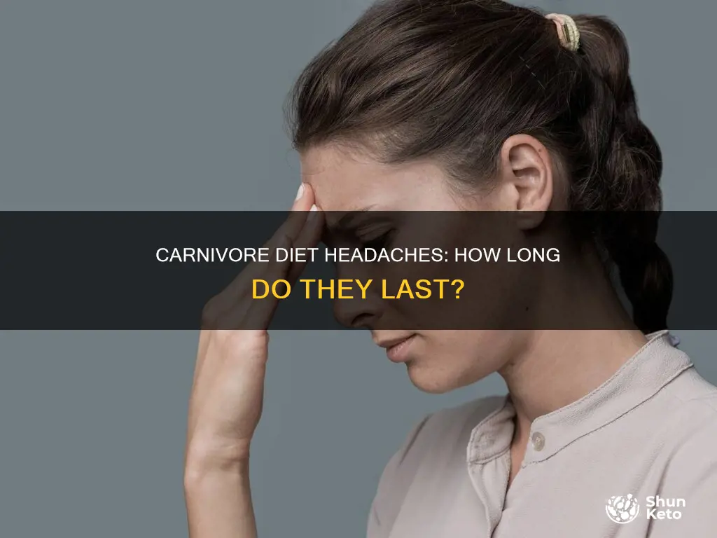how long do headaches last on carnivore diet