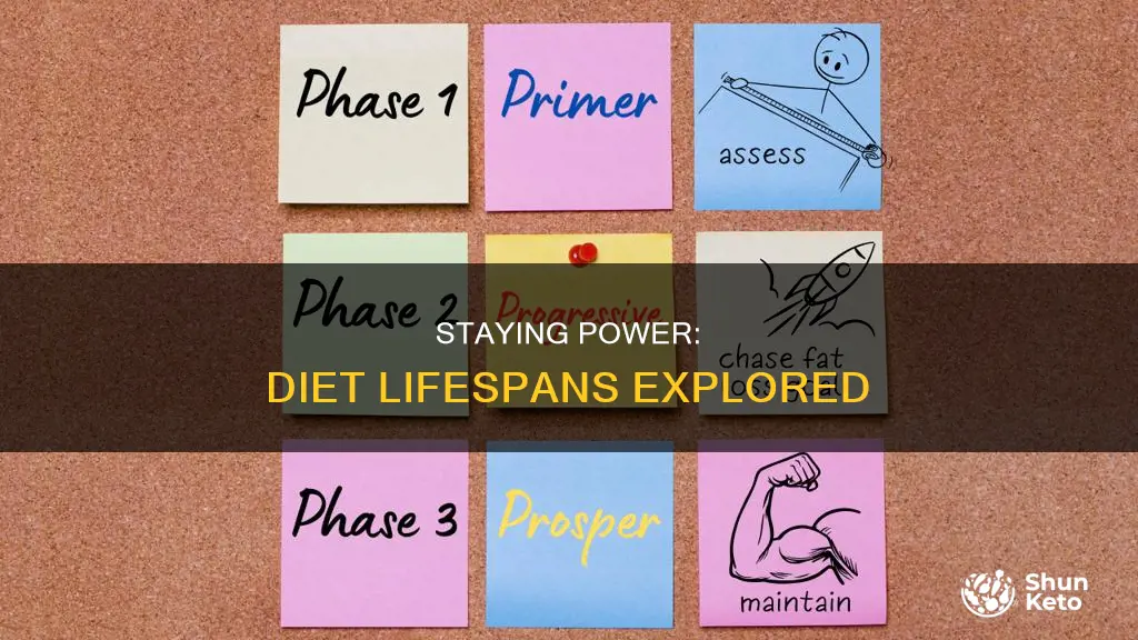 how long do people stay on a diet