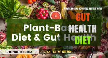 Gut Health Diet: Feeling Better for Longer