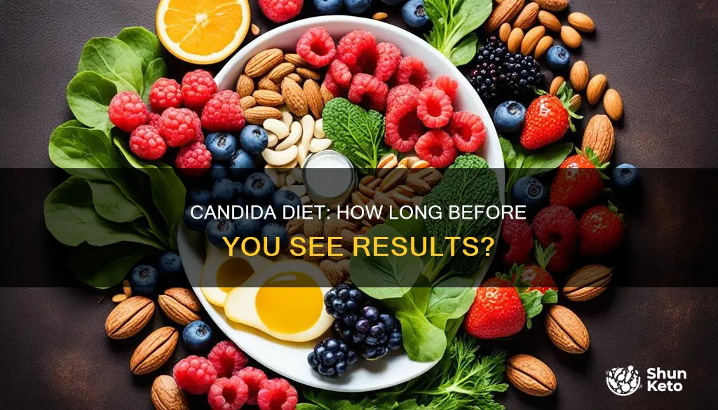 how long do you need to be on candida diet