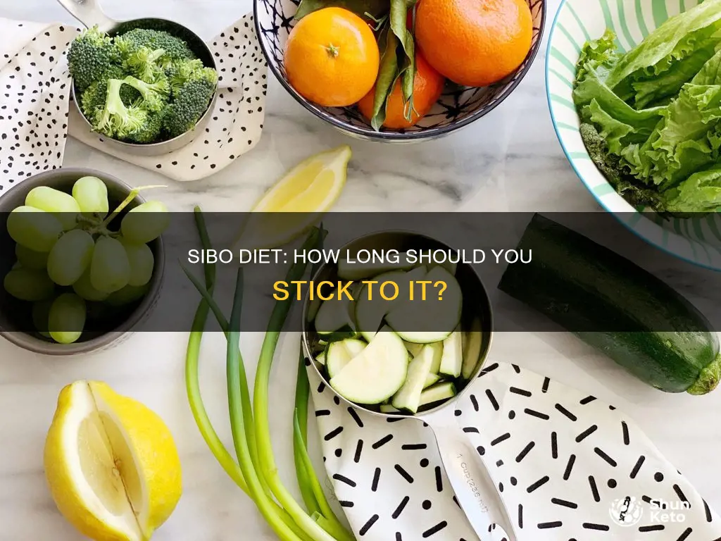 how long do you stay on the sibo diet